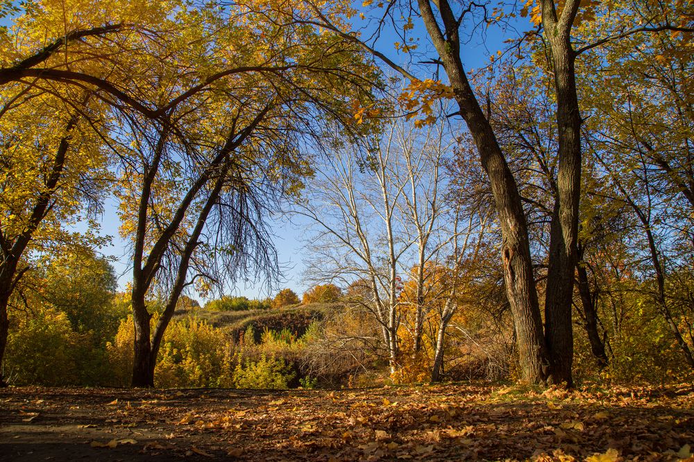 Photograph by Ирина Толокновская