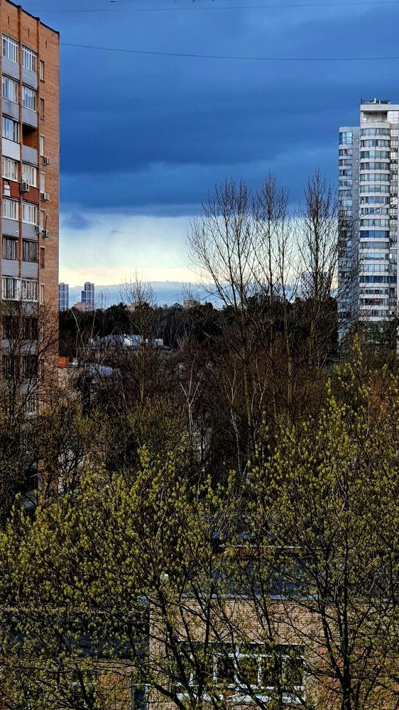 Photograph by Виктория Образцова