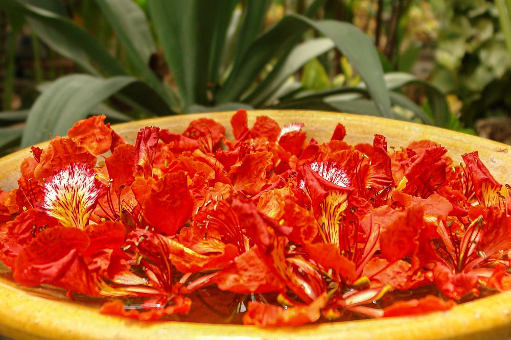 Photograph by Наталья Суслова