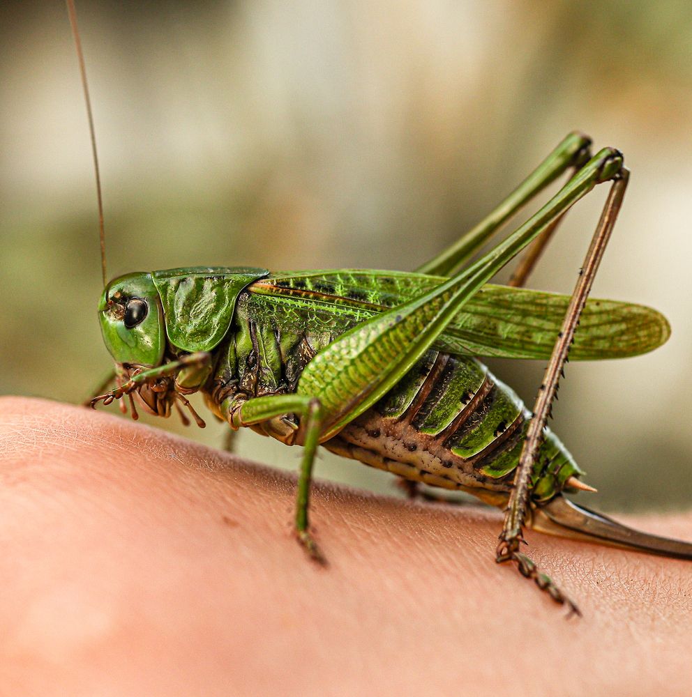 Photograph by Елена Одынец