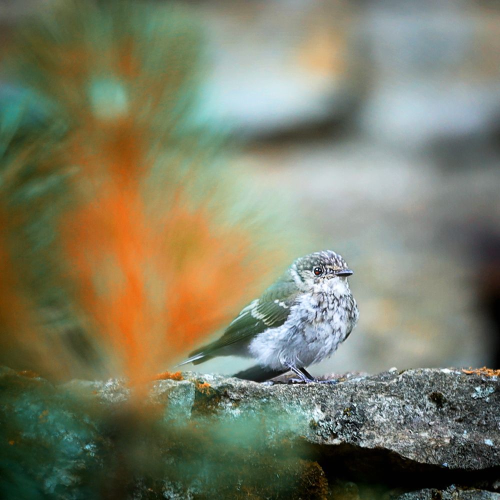 Photograph by Наталья Суслова