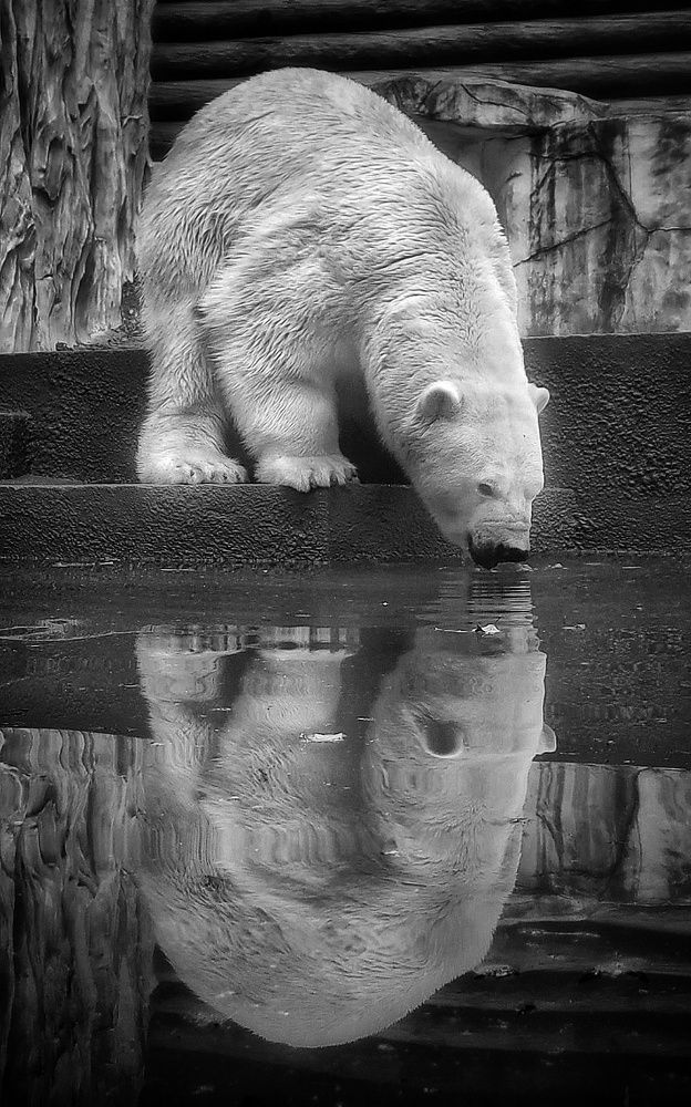 Photograph by Валерия