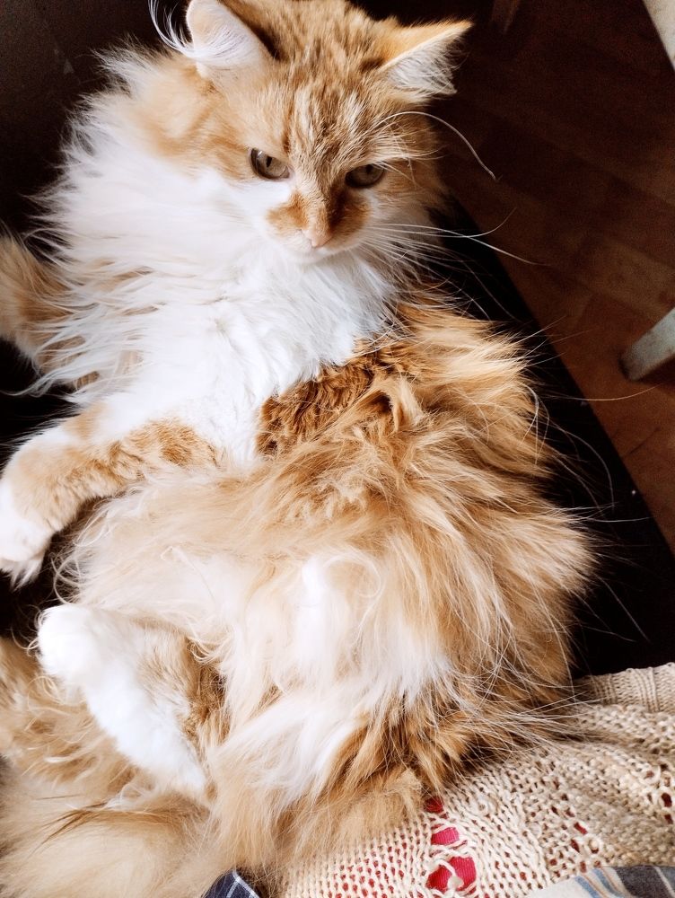 Photograph by Надежда Болтунова