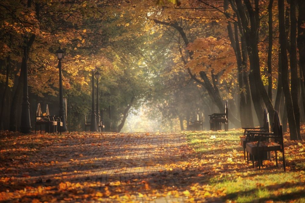 Photograph by Leanid Kulpo