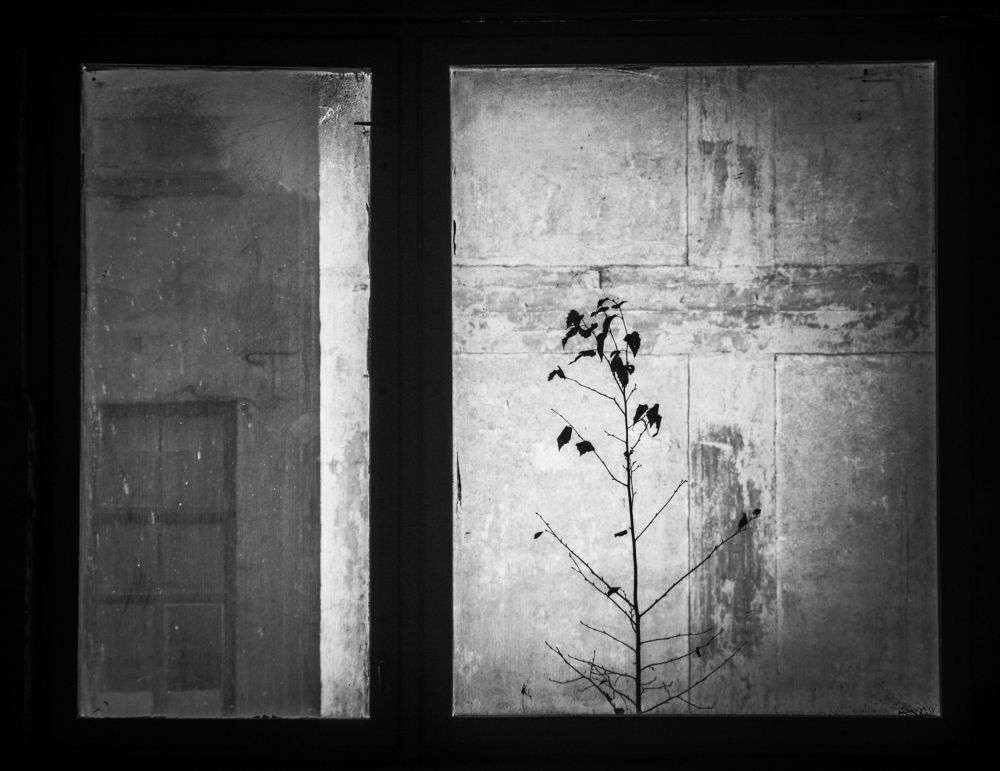 Photograph by Igors Rostikovs