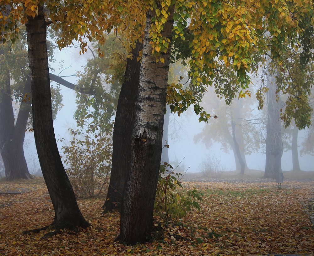 Photograph by Зоя Быкова