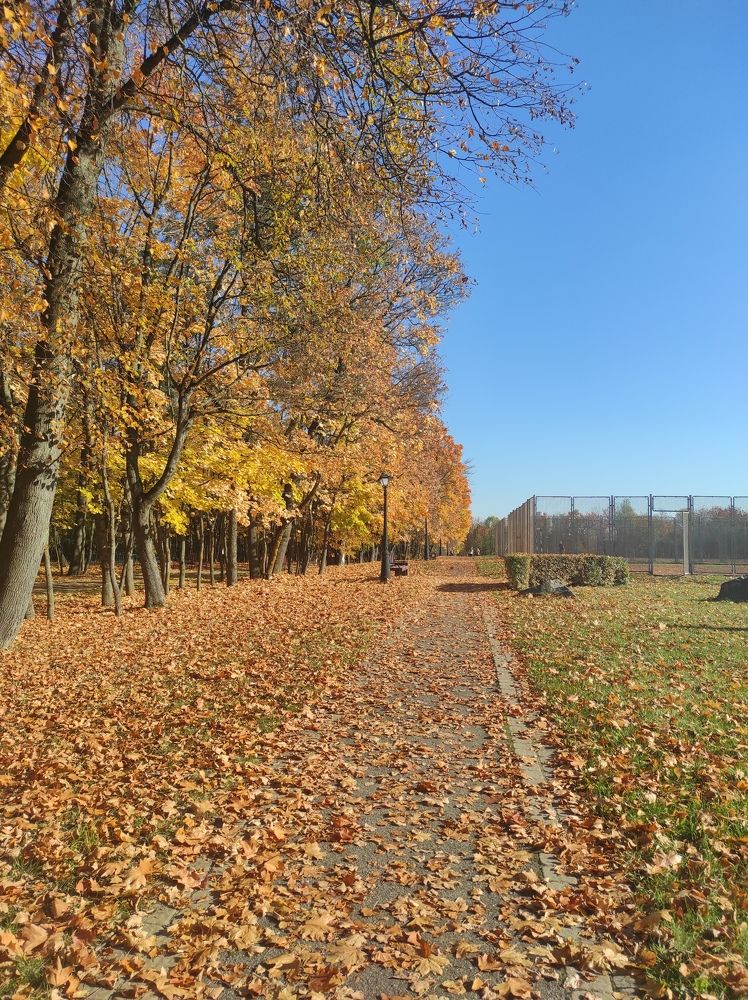 Фотография автора Елена Драко