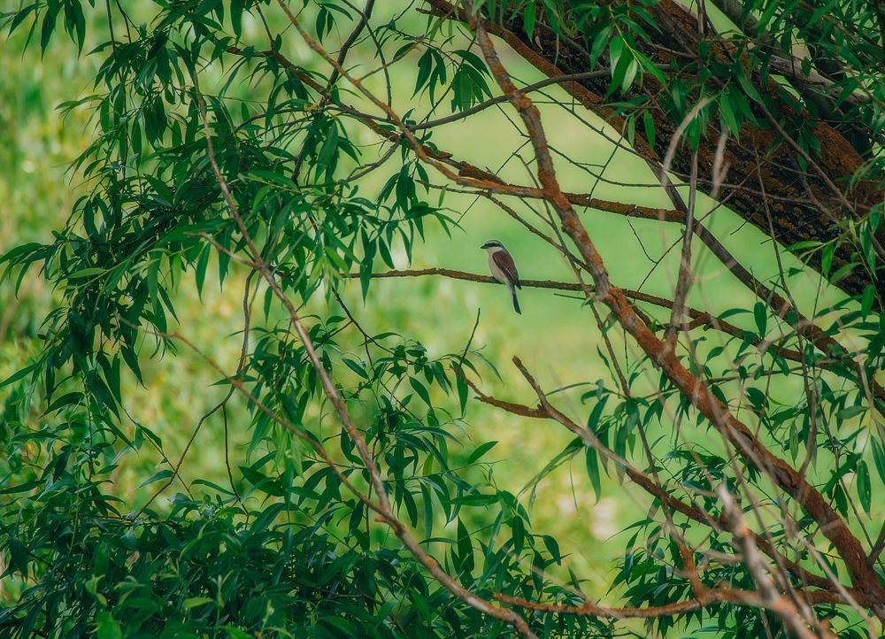 Photograph by Leanid Kulpo