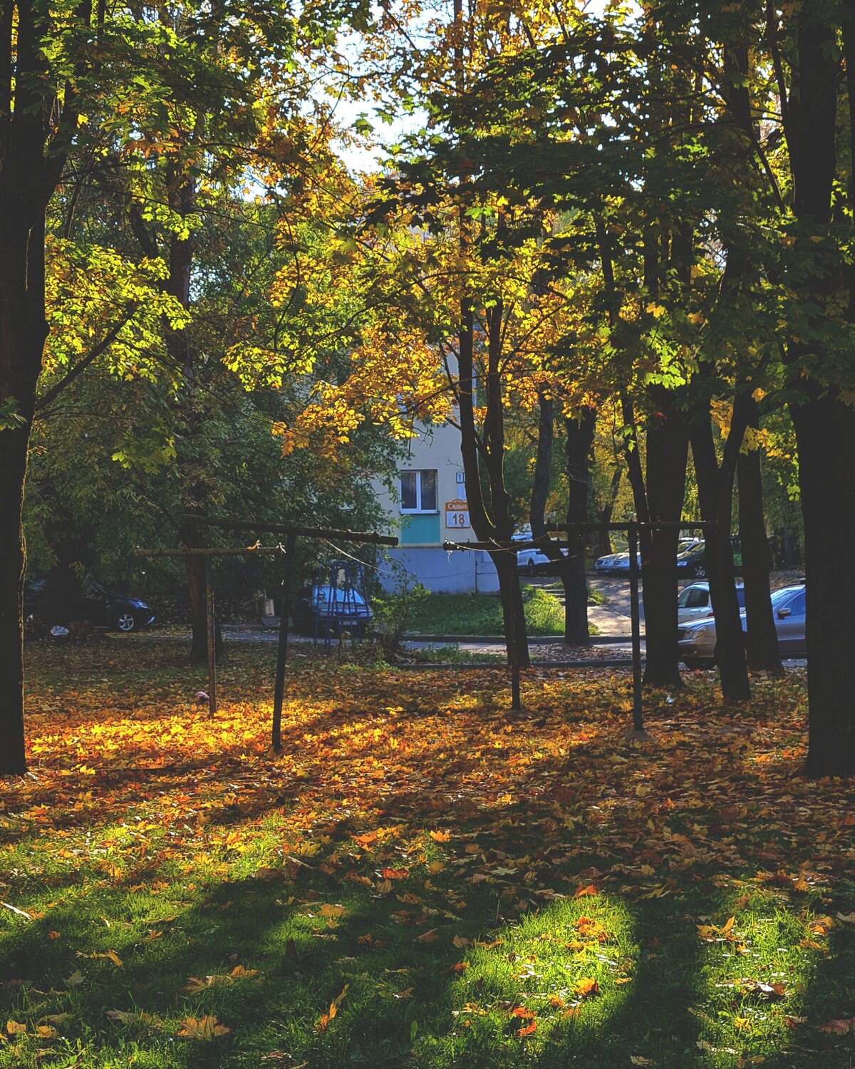 Photo #11211873