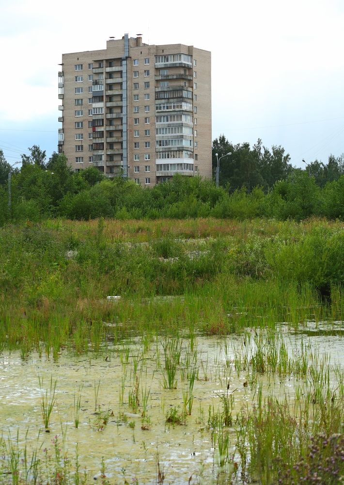 Photograph by Станислав Вершинин