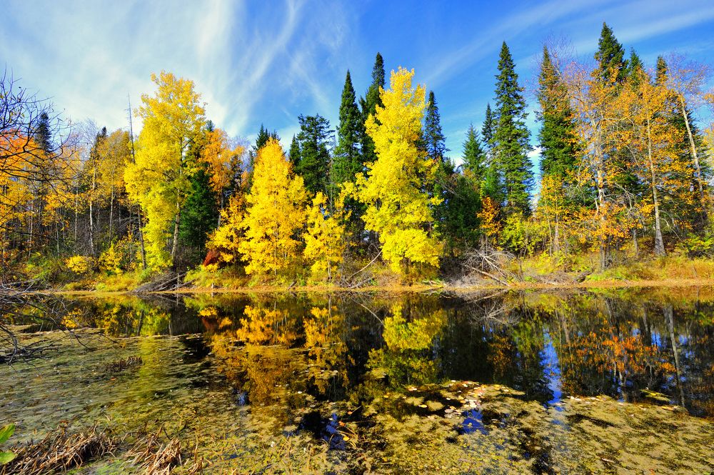 Photograph by Виктор Садырин