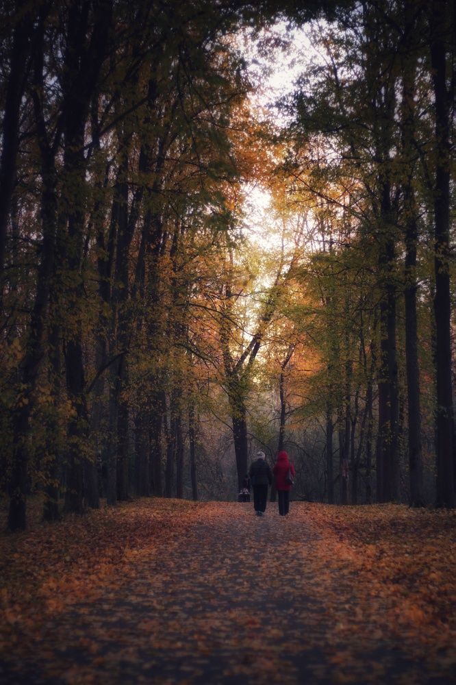 Photograph by Евгений Белов