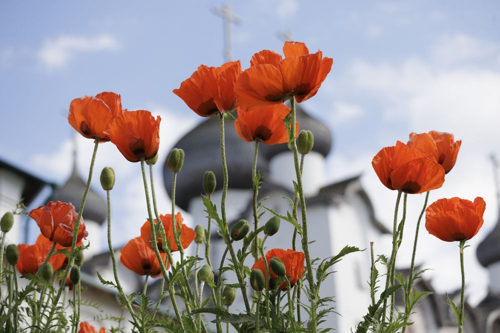 Photograph by Alexandr Seleznev