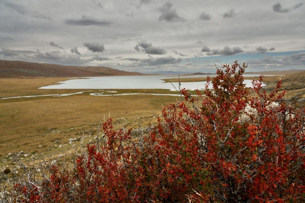 Photograph by Кузнецов Андрей