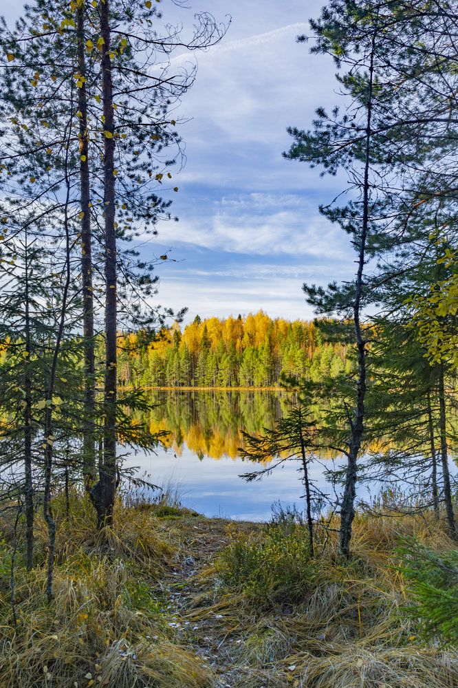 Photograph by Максим Григорьев