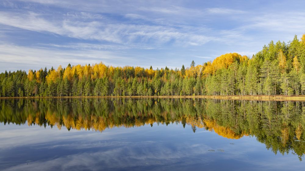 Photograph by Максим Григорьев