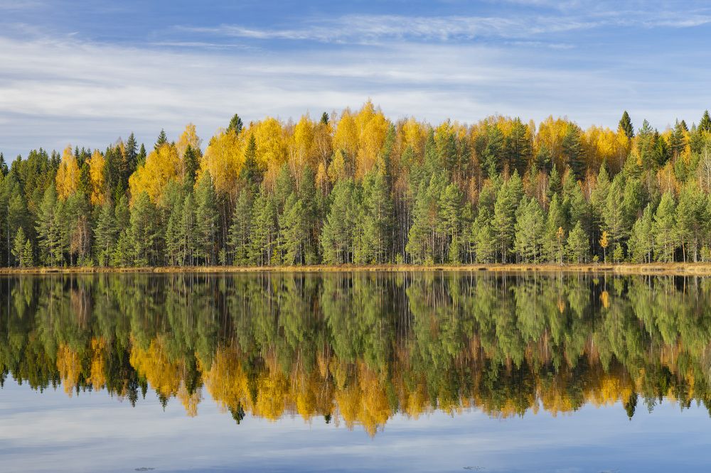 Photograph by Максим Григорьев