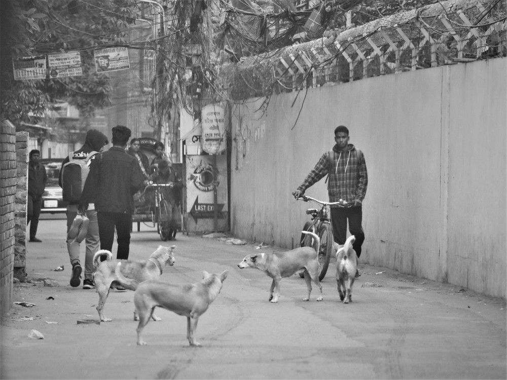 Photograph by Florence Rozario