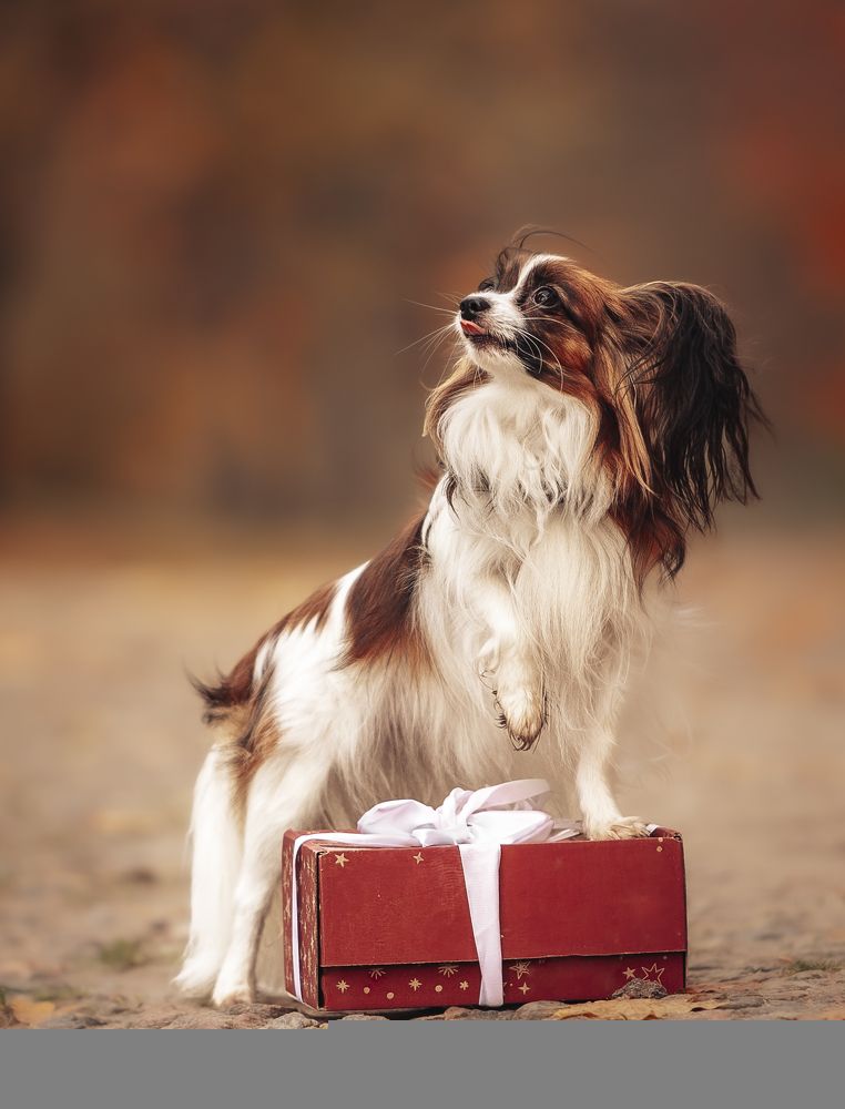 Photograph by Мария Клещенко