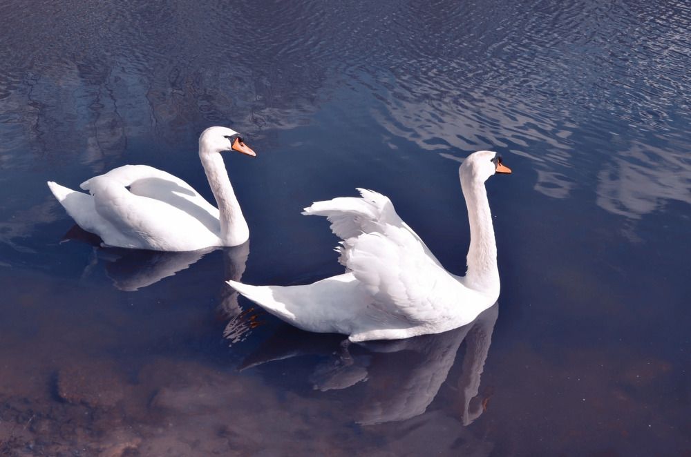 Photograph by Зыкова Мария