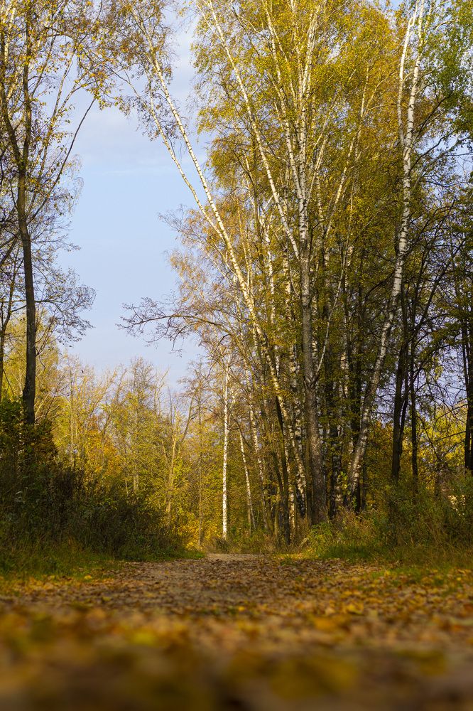 Photograph by Ольга Самылкина