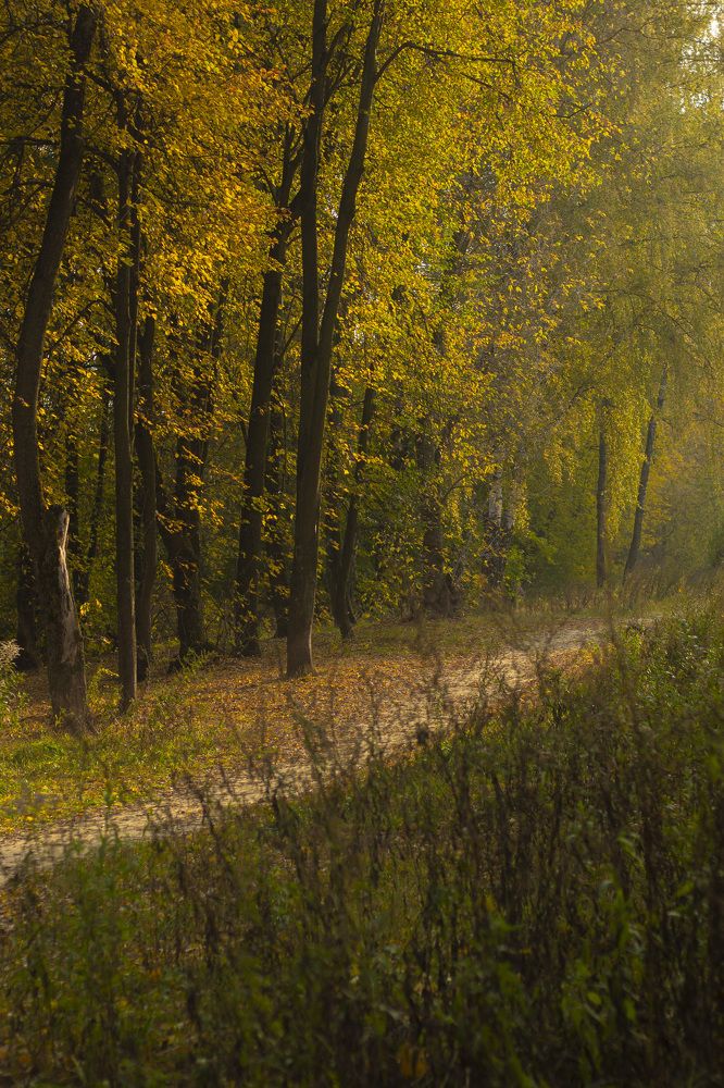 Photograph by Ольга Самылкина