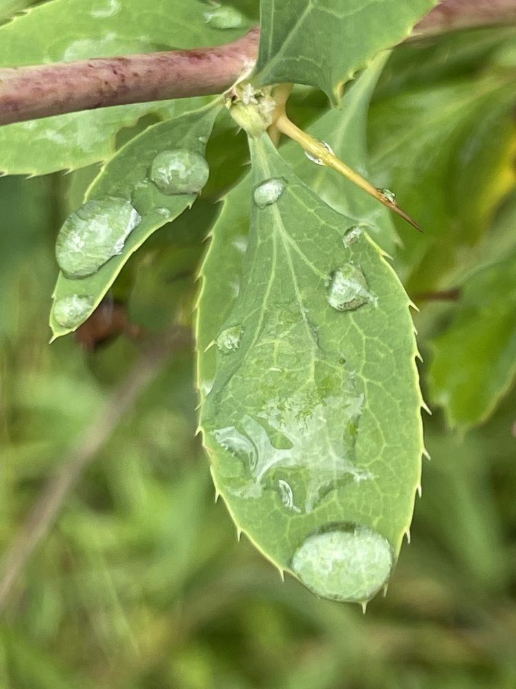 Photograph by Марина Мирошниченко