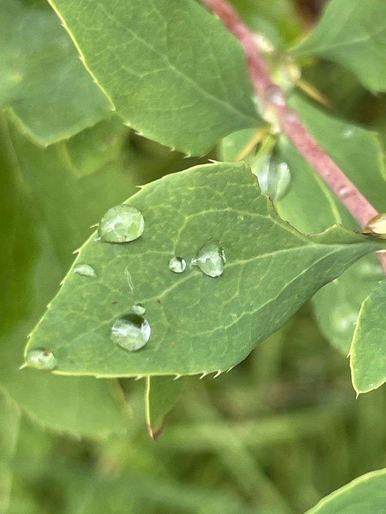 Photograph by Марина Мирошниченко