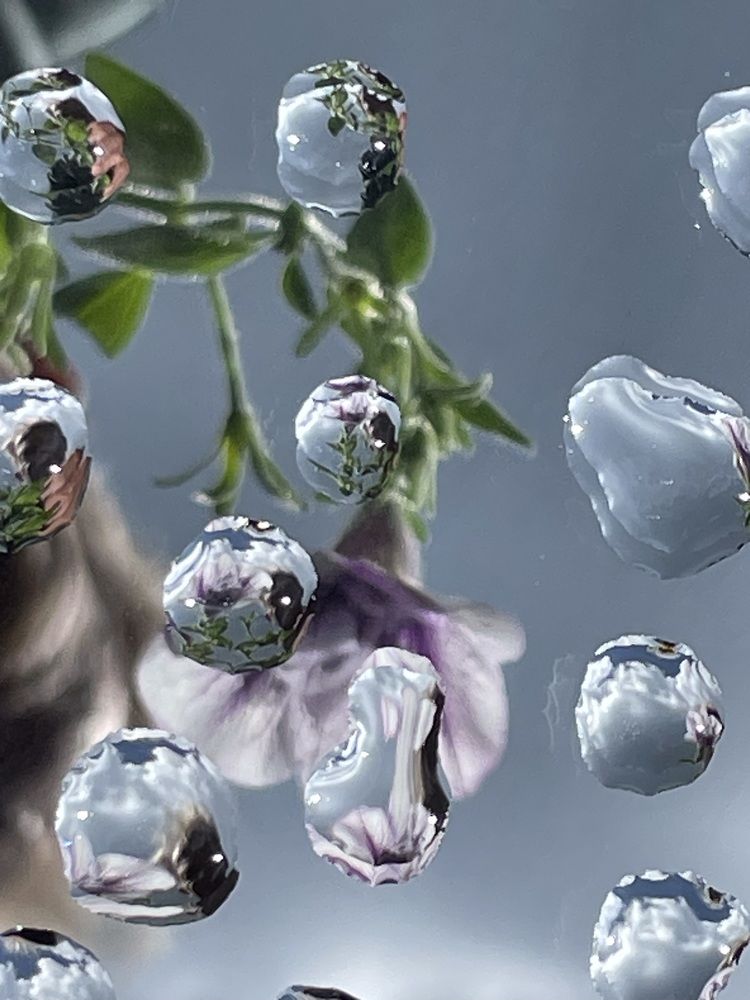 Photograph by Марина Мирошниченко