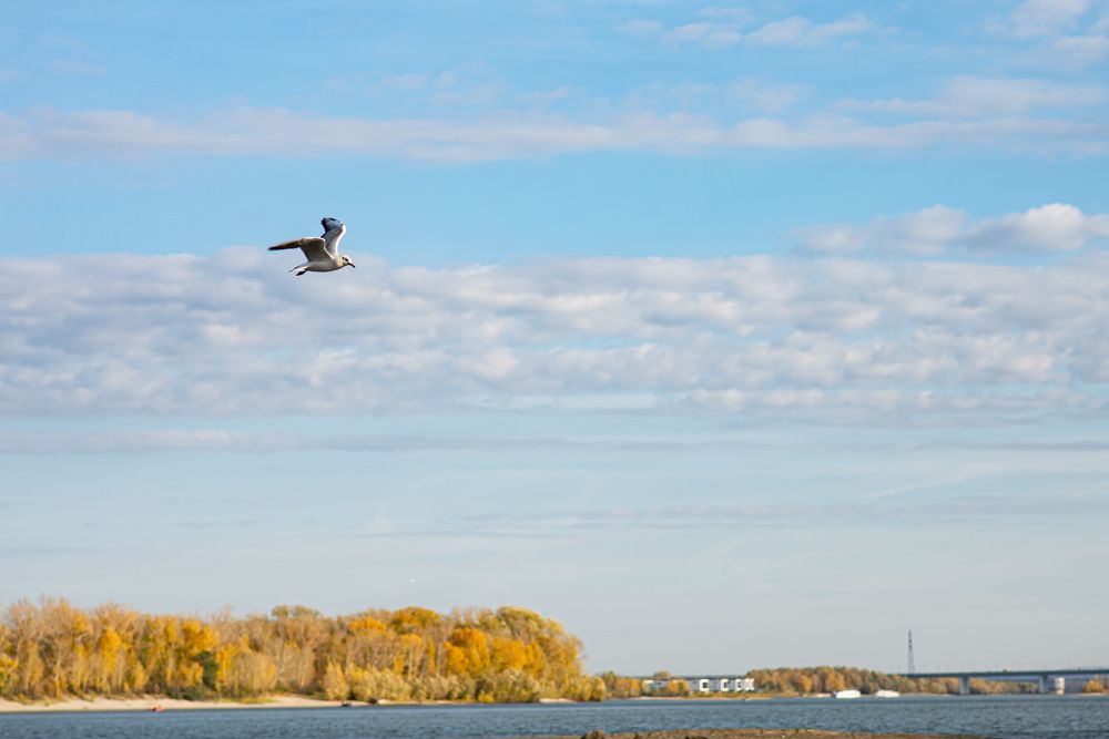 Photograph by Татьяна Шаркеева