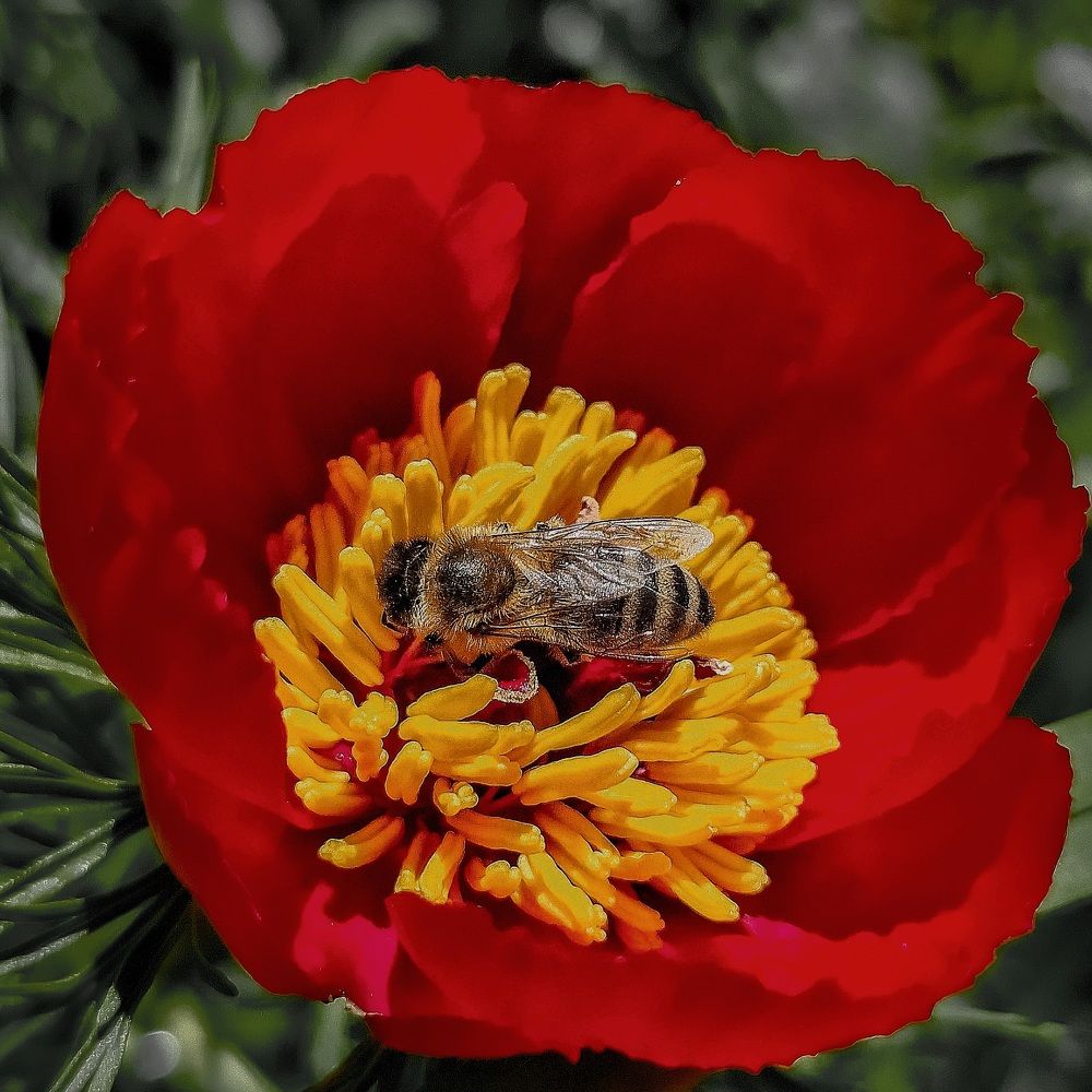 Photograph by Лариса Когтева