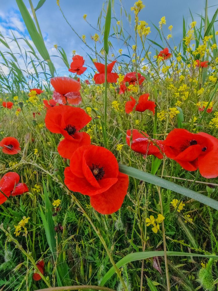 Photograph by Лариса Когтева