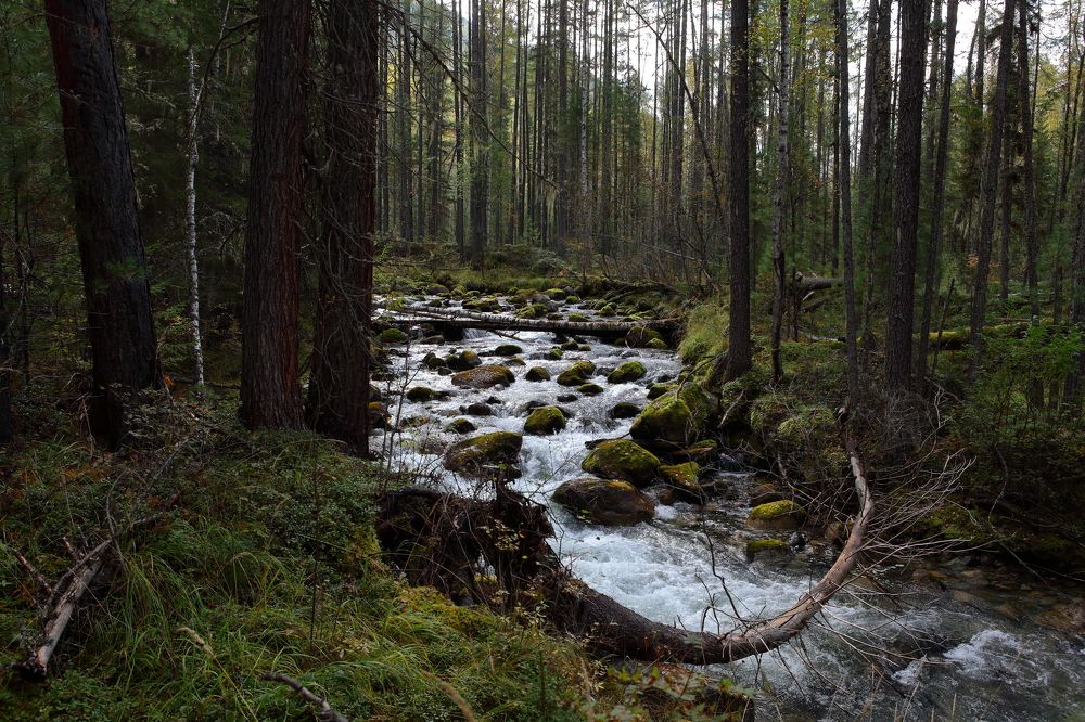 Photograph by Александр Полюдов