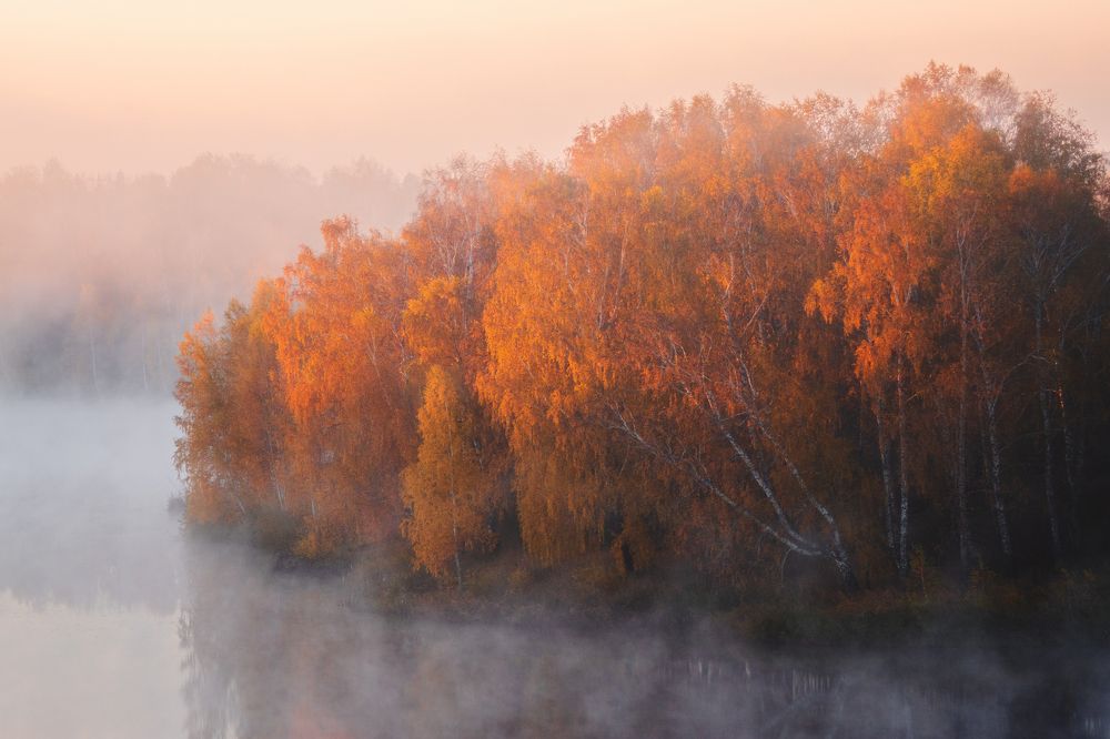 Photograph by Илья Толстоноженко