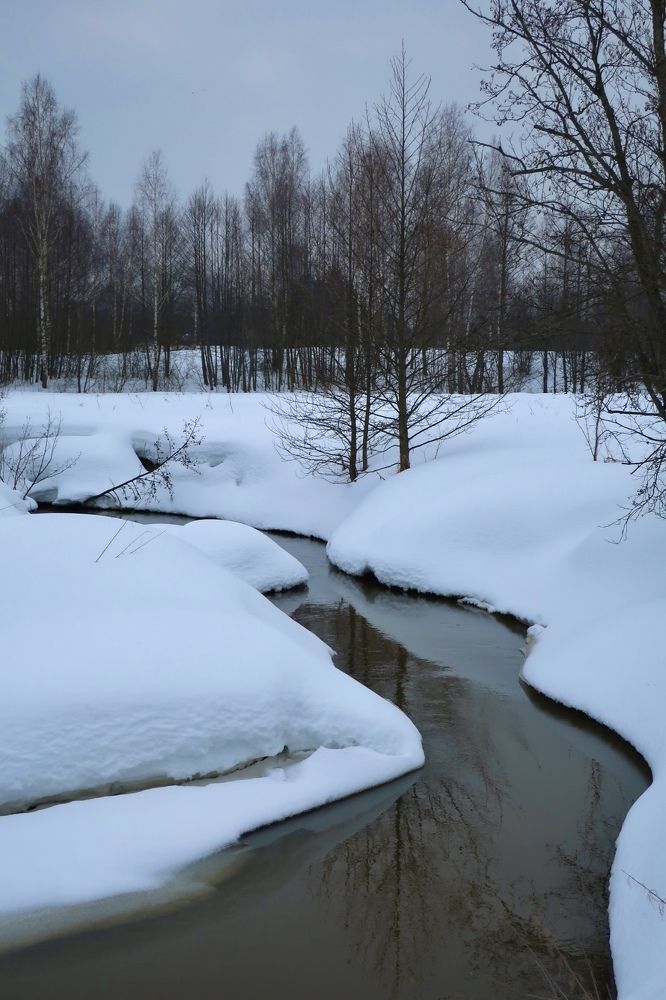 Photograph by Надежда Ткаченко