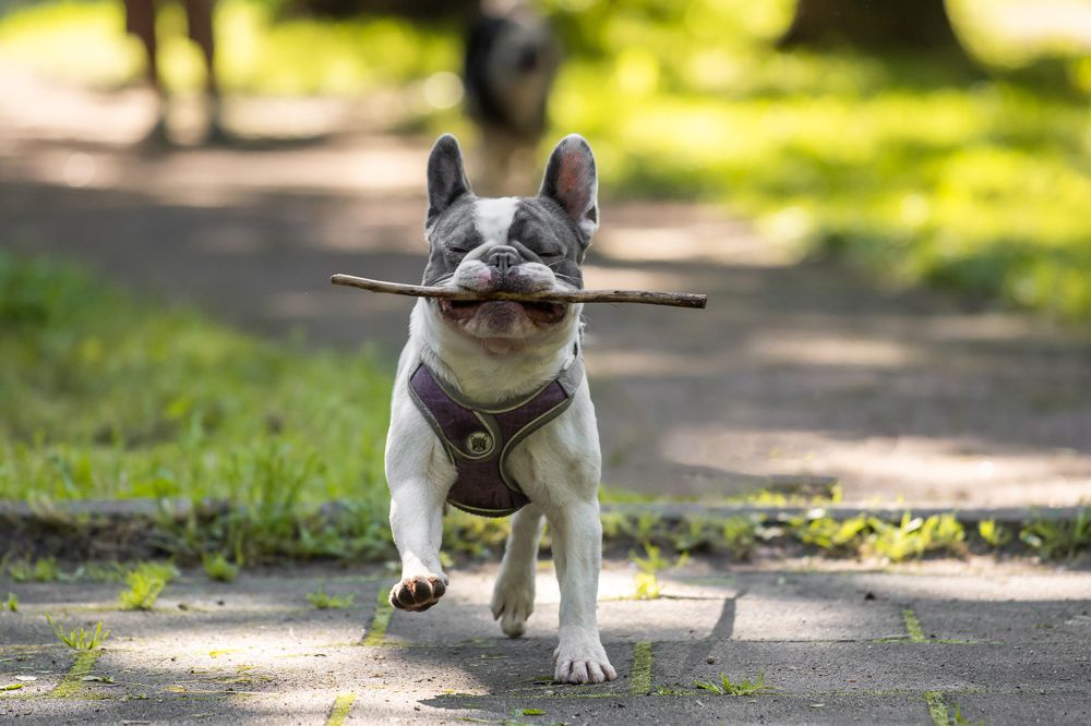 Photograph by Людмила Подольская