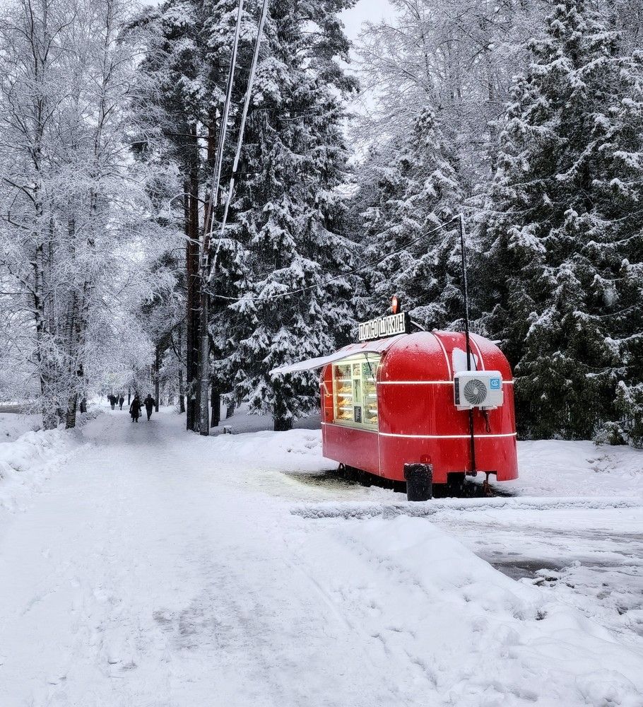 Photograph by Надежда Кудрявцева