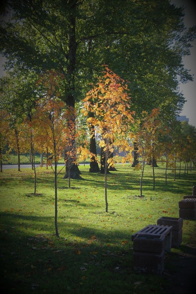 Photograph by Nikita Zorin