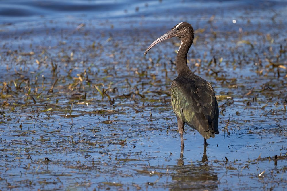 Photograph by Алексей Шматков