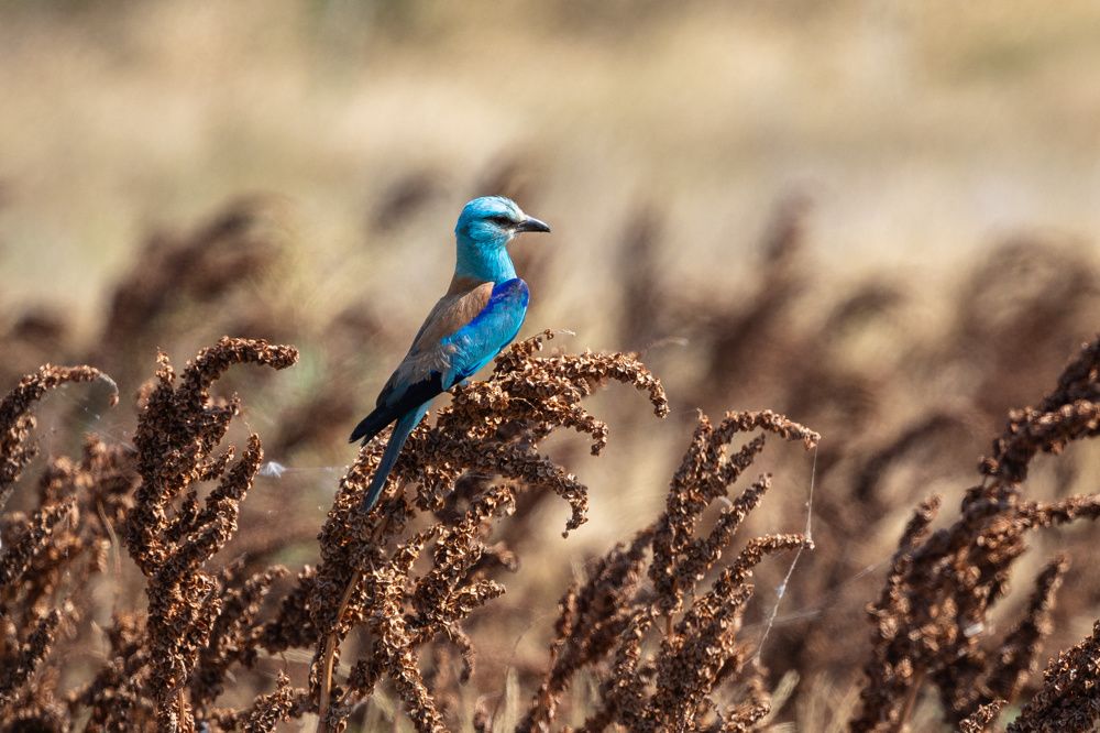 Photograph by Алексей Шматков