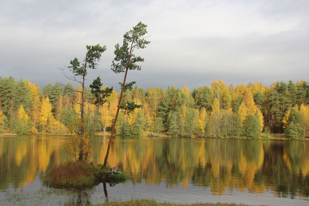 Photograph by Nikita Zorin