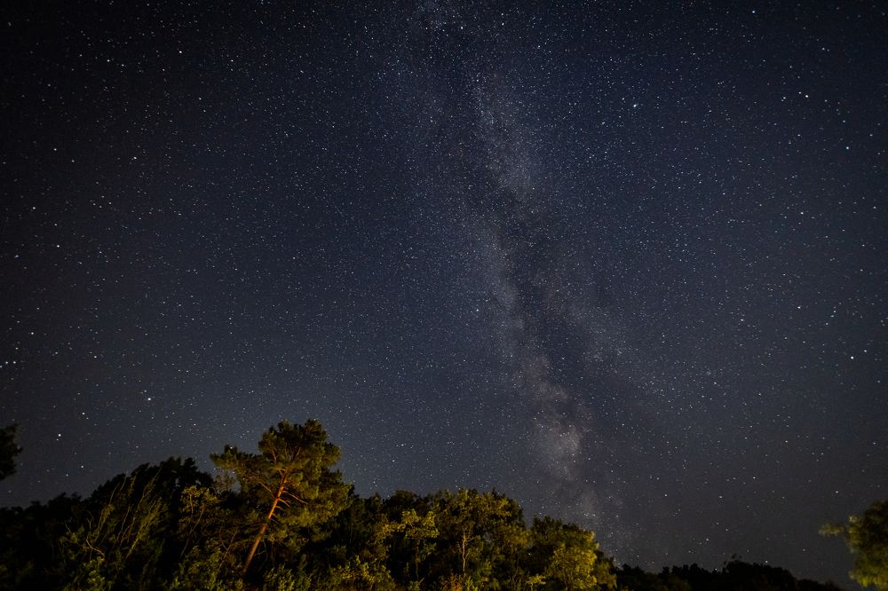 Photograph by Алексей Шматков