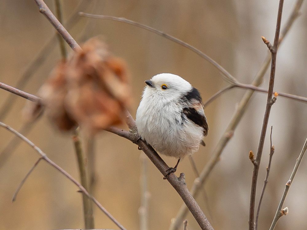 Photograph by Максим Фролов