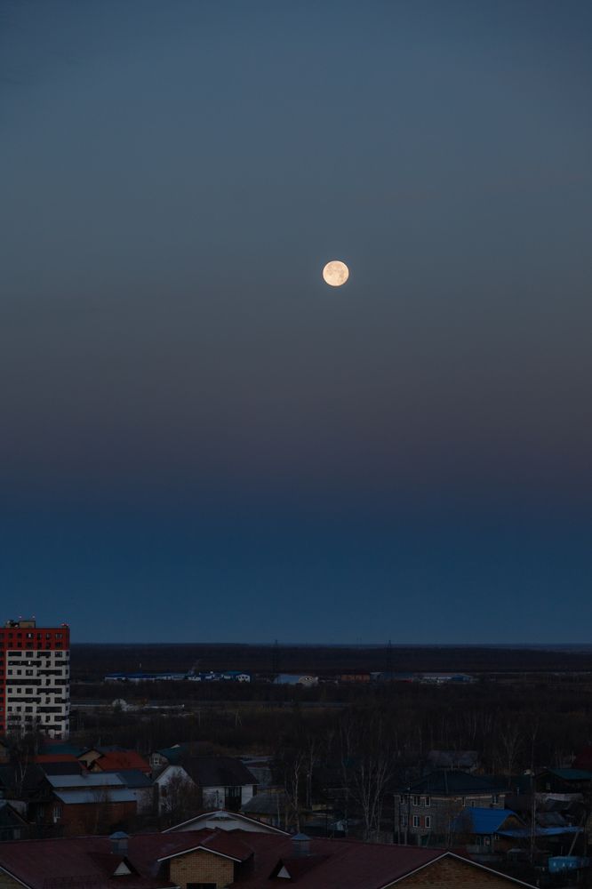 Photograph by Elena Mishchenko