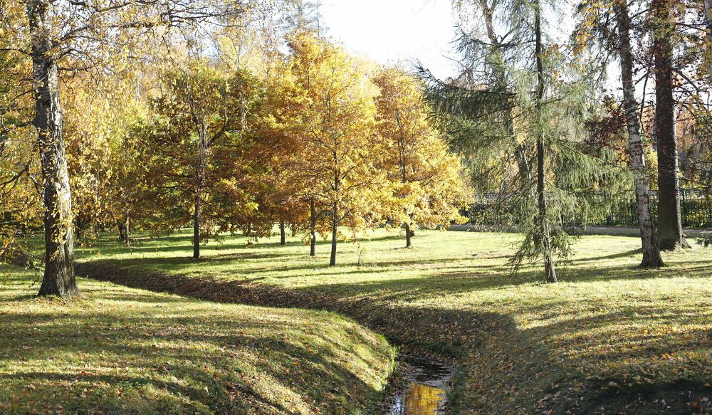 Photograph by Геннадий Капунов