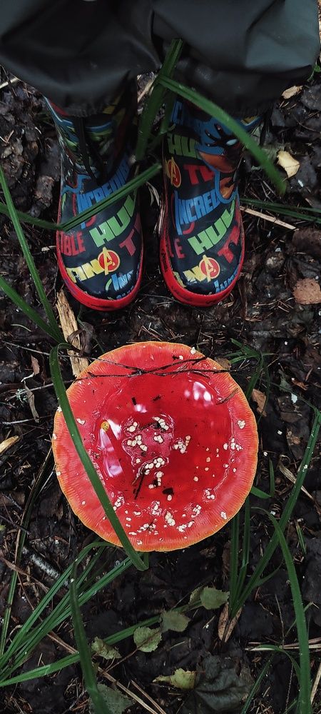 Фотография автора Екатерина Карасева