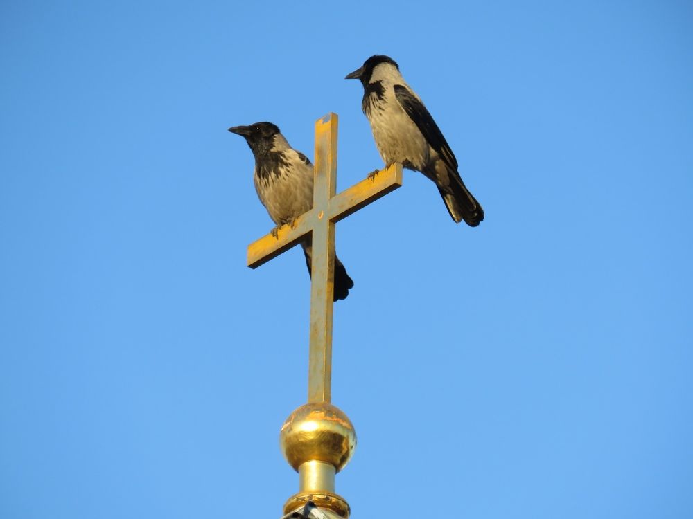 Photograph by Валерия Яскович