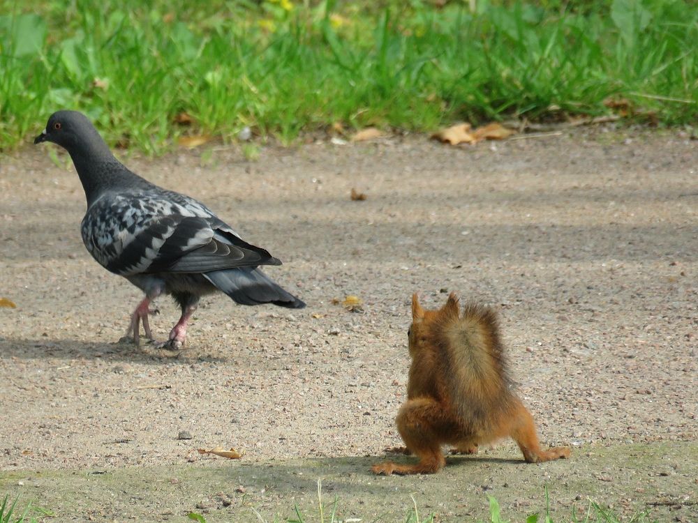 Photograph by Валерия Яскович