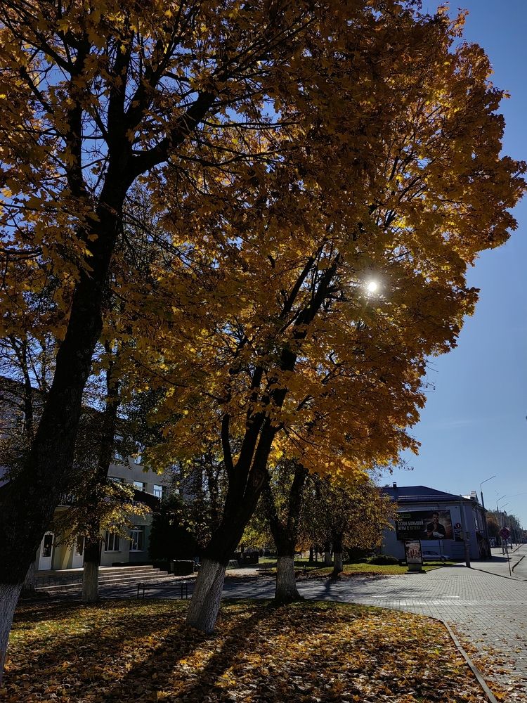 Photo #11212337