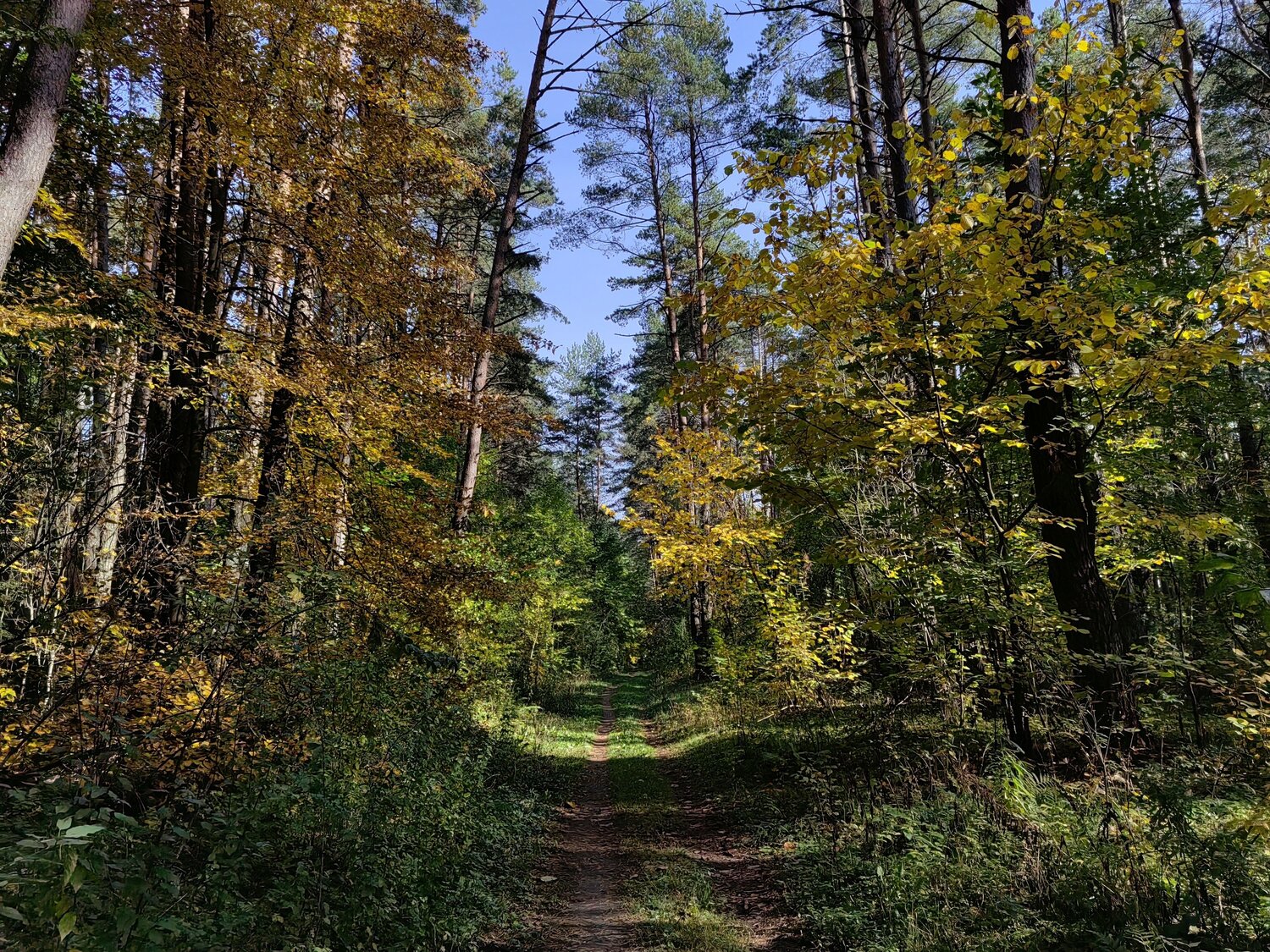 Photo #11212346